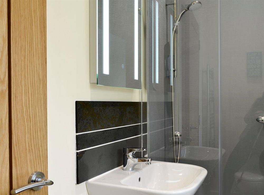 En-suite shower room at Hameish Holiday Cottage in Kirkcudbright, Dumfries & Galloway, Kirkcudbrightshire
