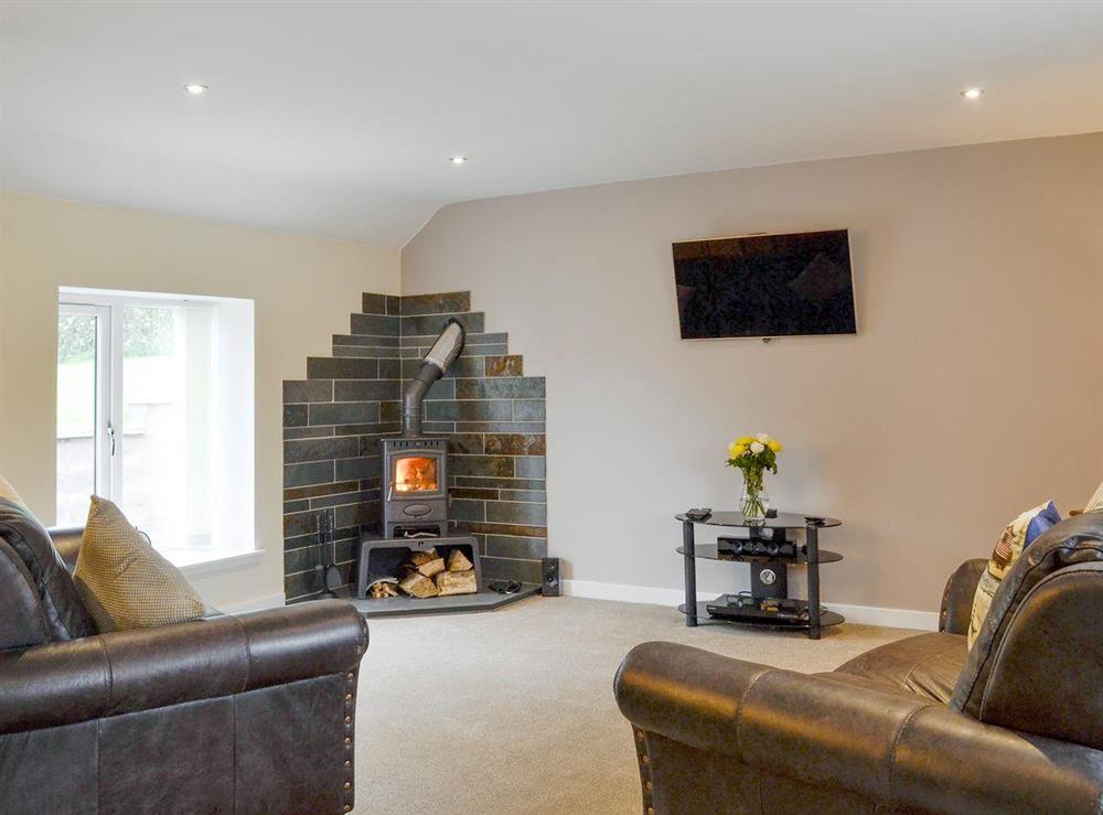Welcoming living area with wood burner at Hameish Holiday Cottage in Kirkcudbright, Dumfries & Galloway, Kirkcudbrightshire