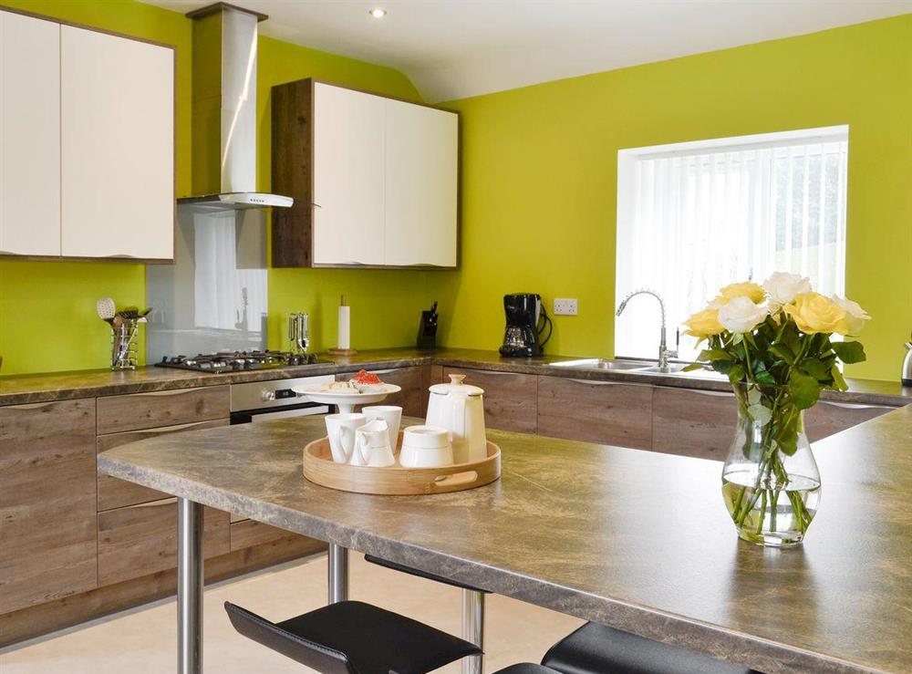 Well-equipped fitted kitchen at Hameish Holiday Cottage in Kirkcudbright, Dumfries & Galloway, Kirkcudbrightshire
