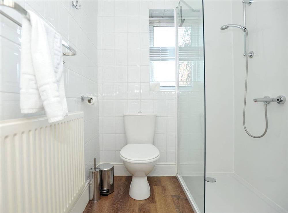 Shower room at Hamilton Apartment in Cheltenham, Gloucestershire