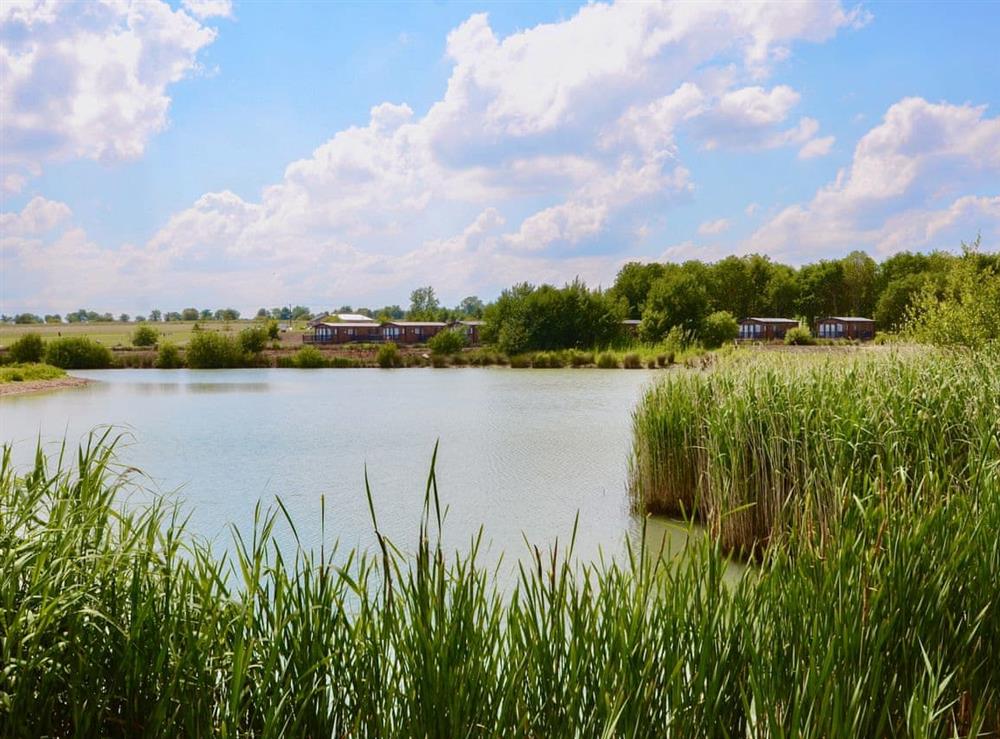 Photos of Hanworth Country Park - Maple Potterhanworth, near Lincoln ...