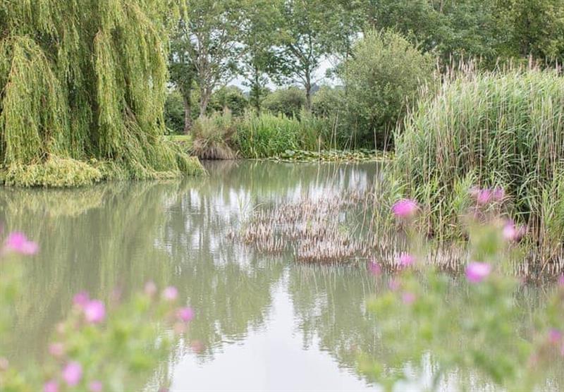 Pretty lake at Hanworth Country Park in Potterhanworth, Lincolnshire