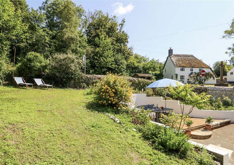 The garden in Happiness Cottage (photo 3) at Happiness Cottage, Piddlehinton