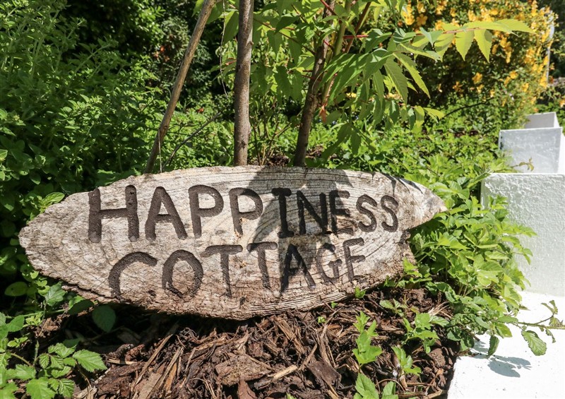 This is the garden at Happiness Cottage, Piddlehinton