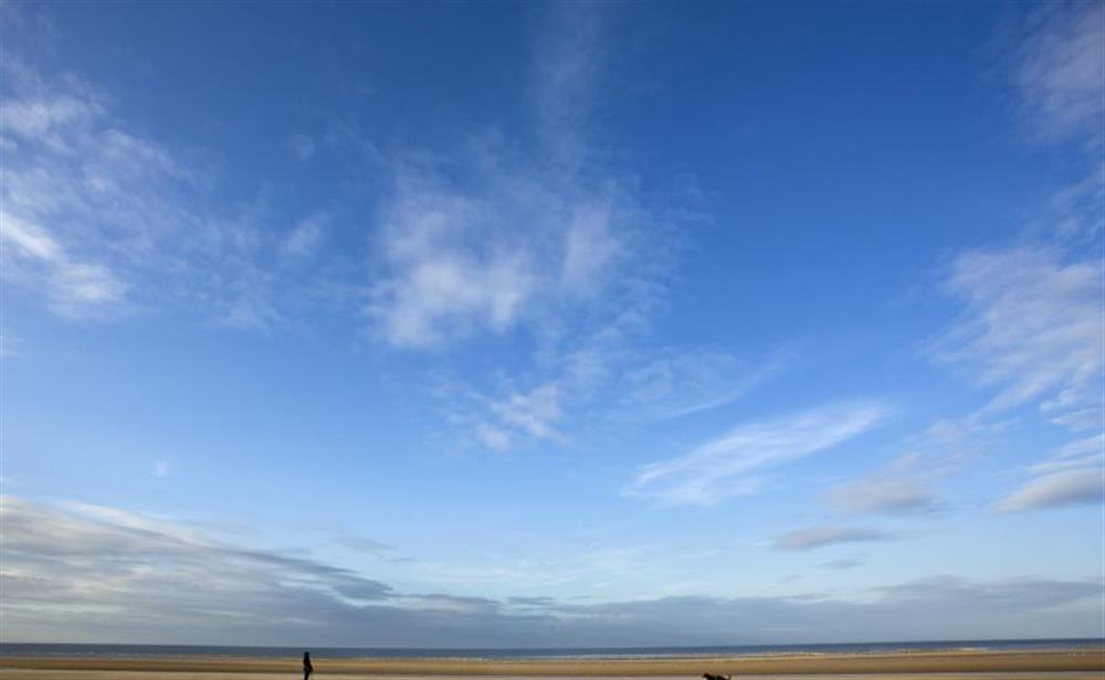 Dog walking under a big blue sky at Harbour Cottage, Wells-next-the-Sea