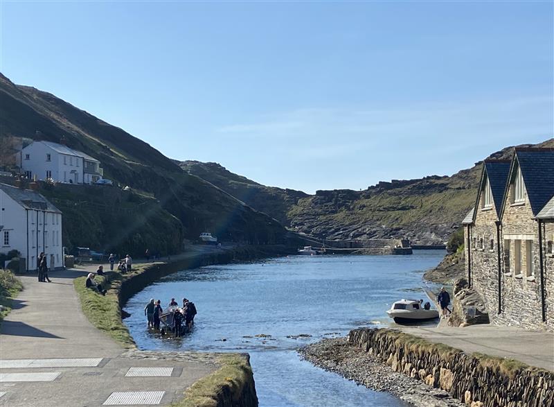 In the area at Harbour Light, Boscastle