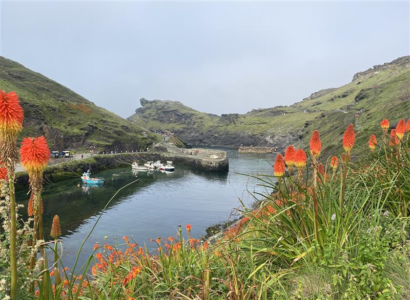 The setting of Harbour Light (photo 2) at Harbour Light, Boscastle