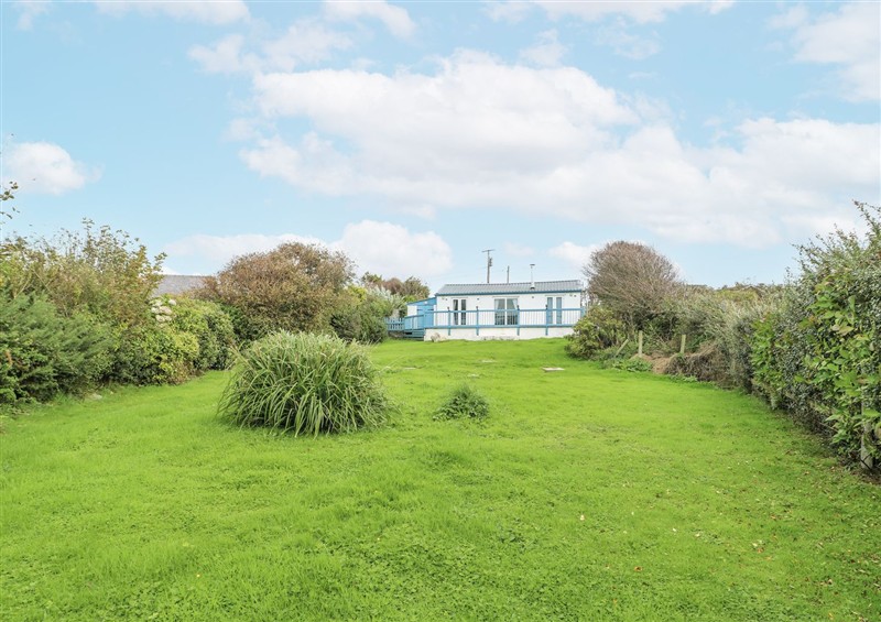 The garden at Harbour Lights, Church Bay