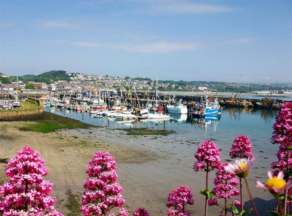 Surrounding area at Harbour Lights in Newlyn, near Penzance, Cornwall