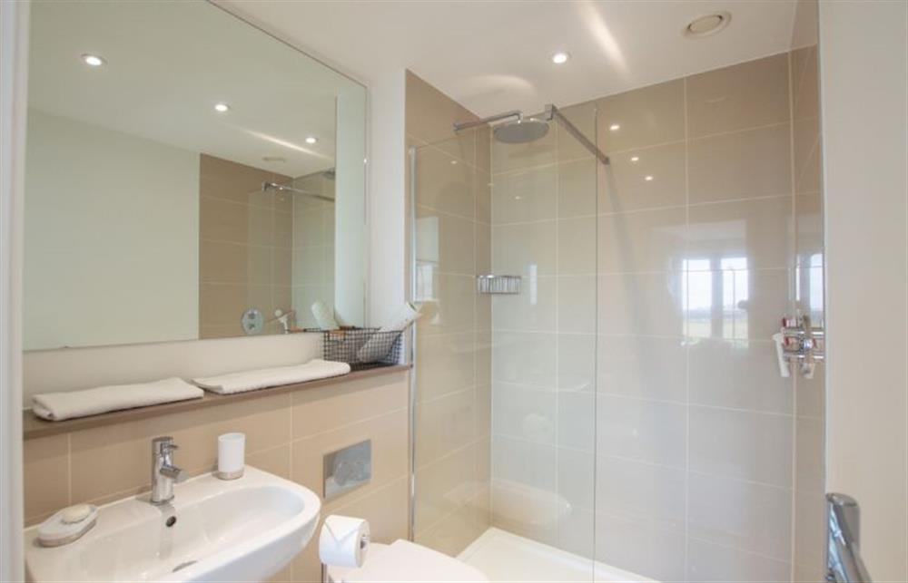 En-suite shower room with a walk-in shower at Harbour Lights, Newquay 