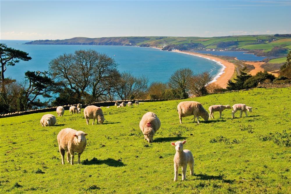 Overlooking Blackpool Sands beach at Harbourside in South Town, Dartmouth