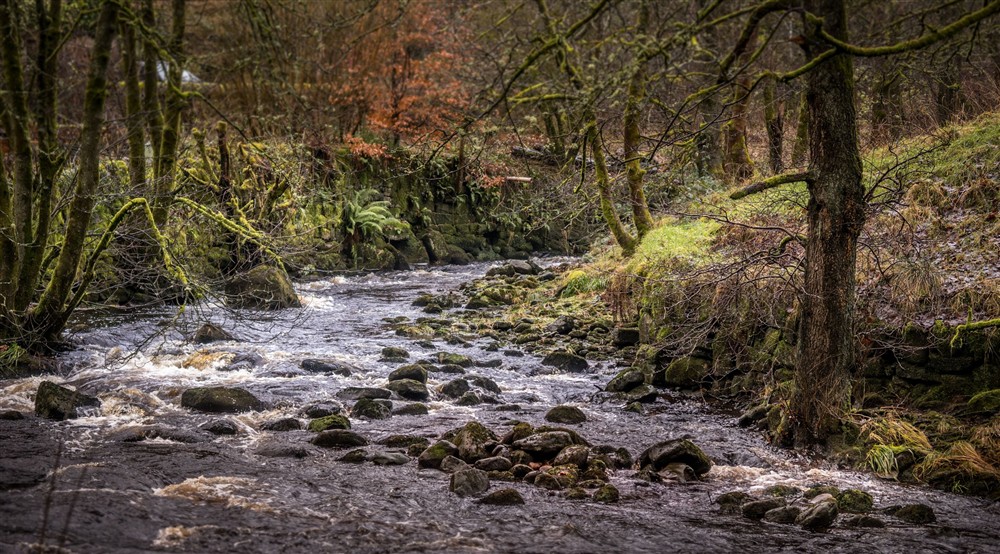 A stream in the surrounding area of Hardcastle Lodge, Yorkshire at Hardcastle Lodge in Hebden Bridge, West Yorkshire