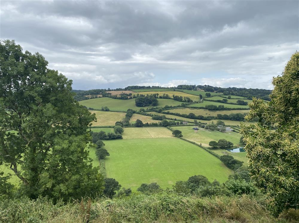 Beautiful countryside all around in this lovely part of Devon