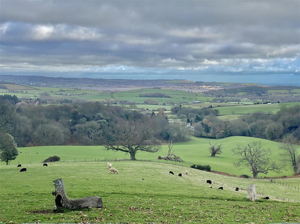 The rolling Devon landscape