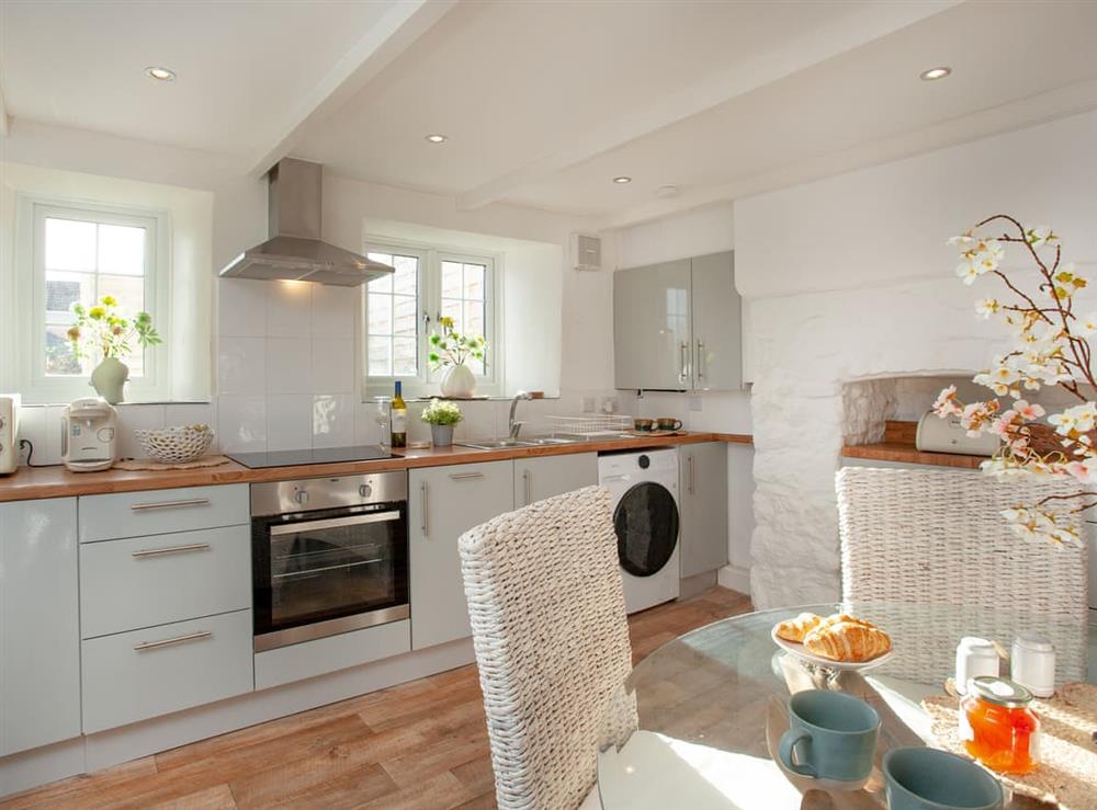 Kitchen at Harlequin Cottage in St Austell, Cornwall