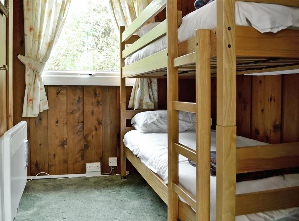 Bunk bedroom at Haroldston Lodge  in Haverfordwest, Pembrokeshire