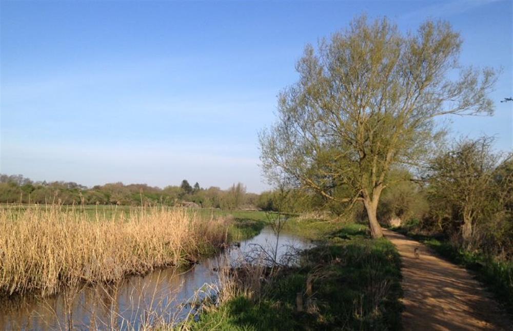 River walks in Fakenham at Harp Garden, Fakenham