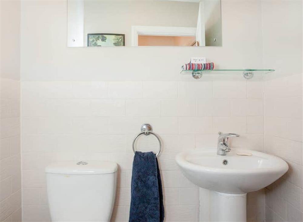 Shower room (photo 2) at Harp House in Shaldon, South Devon, England