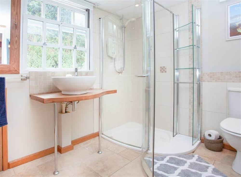Shower room at Harp House in Shaldon, South Devon, England