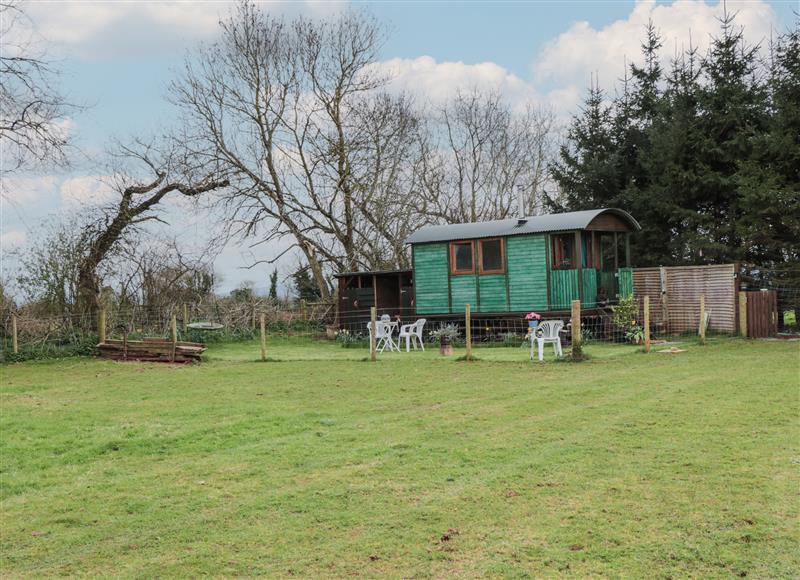 The area around Harri's Hut at Harris Hut, Bishops Lydeard