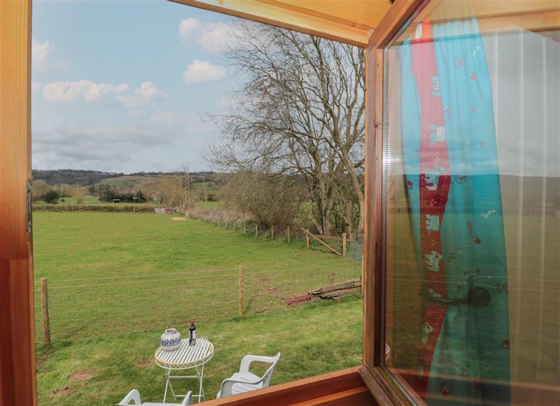 The garden in Harri's Hut (photo 2) at Harris Hut, Bishops Lydeard