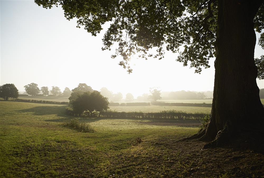 The magnificent Cotswold countryside