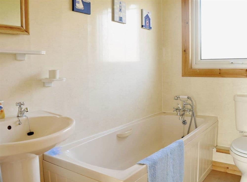 Bathroom at Hartland Forest Lodge in Woolsery, Bideford, Devon