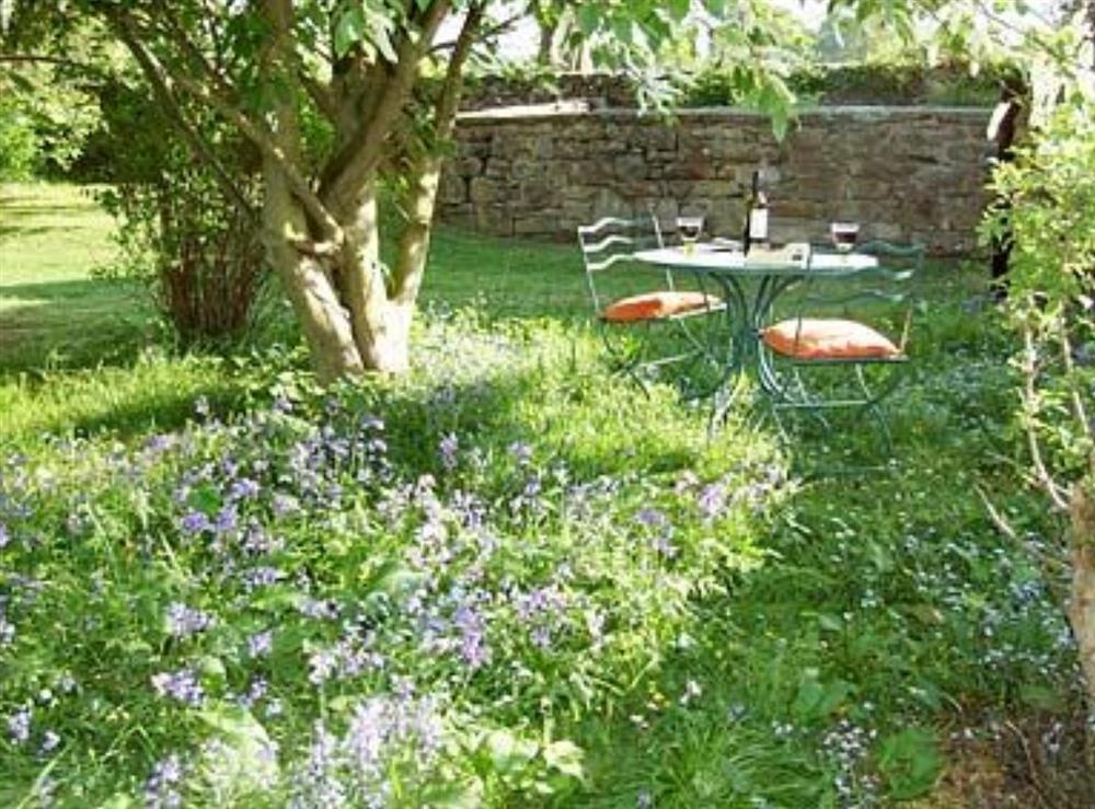 Garden at Harvest Cottage in Pen-y-Cae, Nr Ruabon, Clwyd., Great Britain