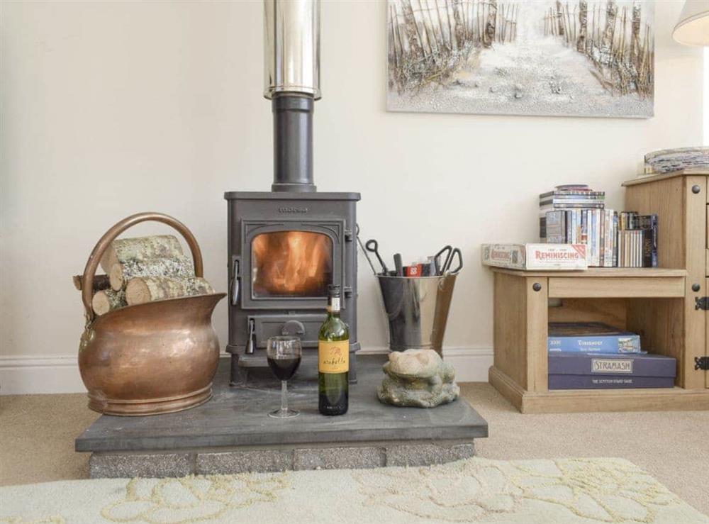 Warming wood burner in living room at Heather Croft, 