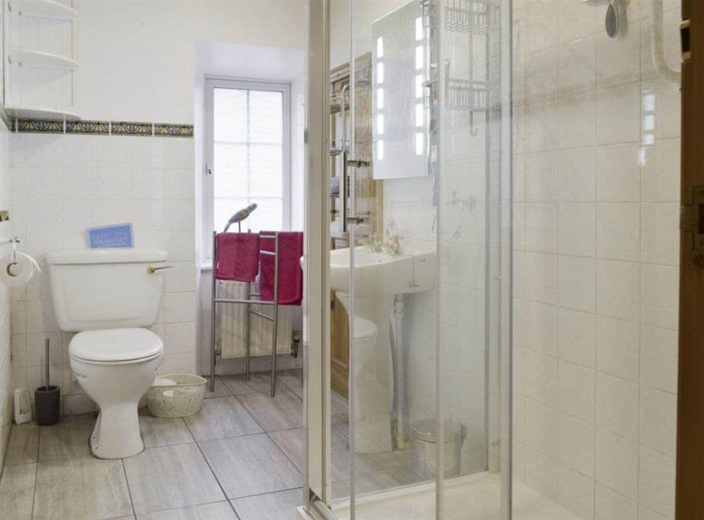 Shower room with shower cubicle and toilet at Osprey Cottage, 