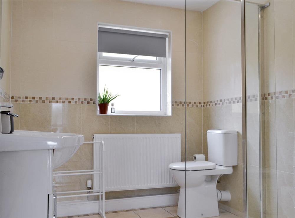 Shower room (photo 2) at Haulfryn in Cribyn, near Lampeter, Dyfed