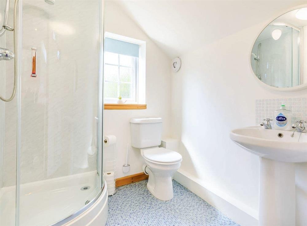 Shower room at Haven Cottage in Berrow, Burnham on Sea, Somerset