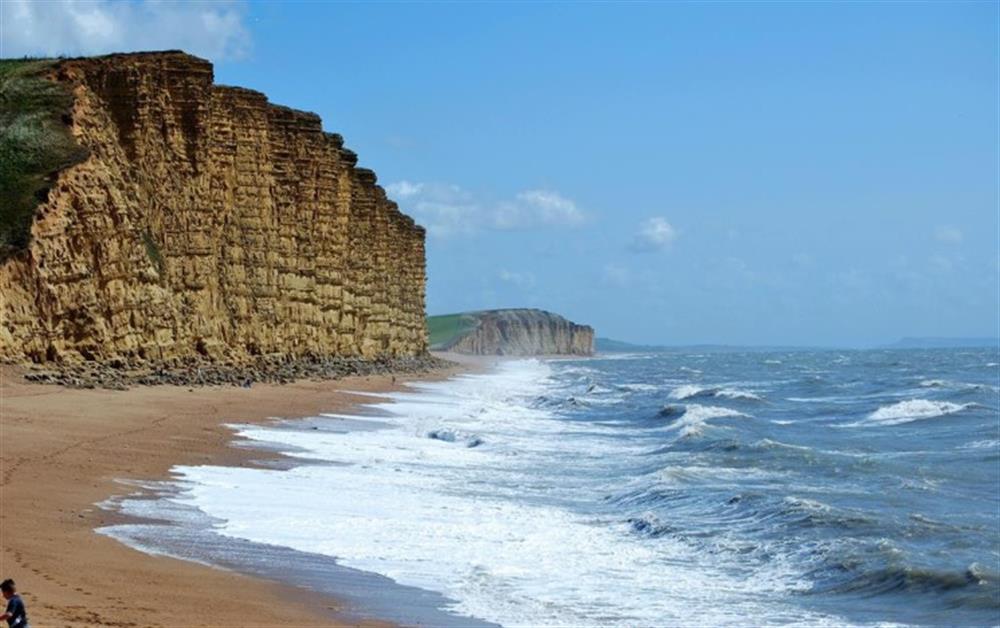 Dramatic cliffs at West Bay at Haven Retreat in Seaton