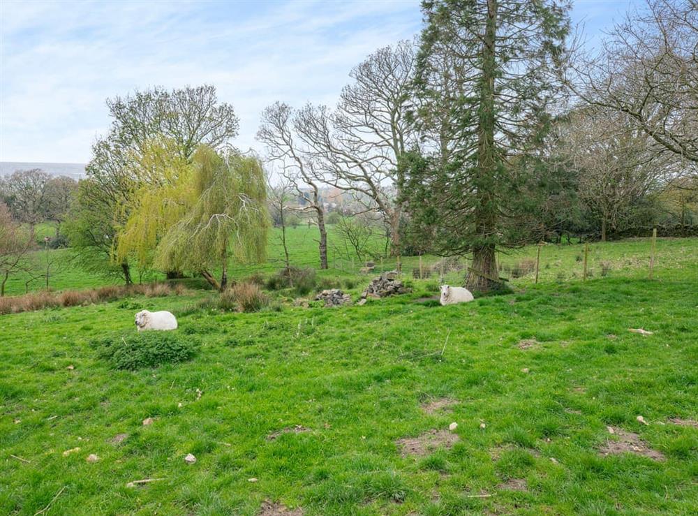 Garden and grounds (photo 8) at Hawett Farm in Parbold, near Wigan, Lancashire