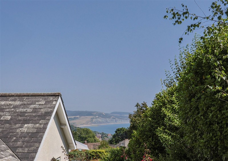 Outside Hawksdown (photo 2) at Hawksdown, Lyme Regis