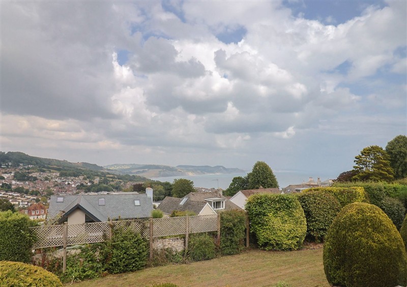 The setting at Hawksdown, Lyme Regis