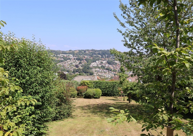 This is the garden at Hawksdown, Lyme Regis