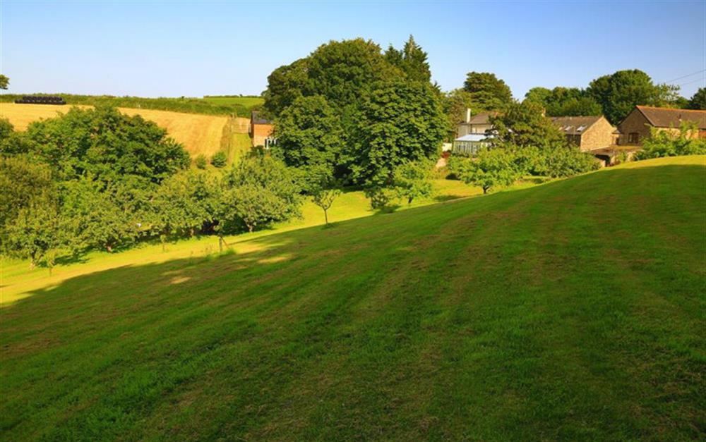 The extensive grounds. at Hawthorn Cottage in Slapton