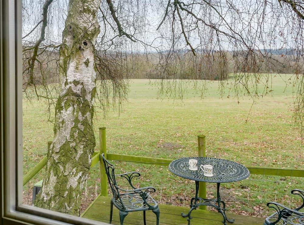 View at Hay and Hedgerow Glamping in Nordley, near Bridgnorth, Shropshire
