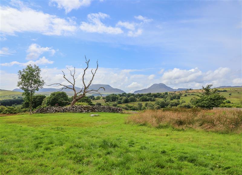 Rural landscape