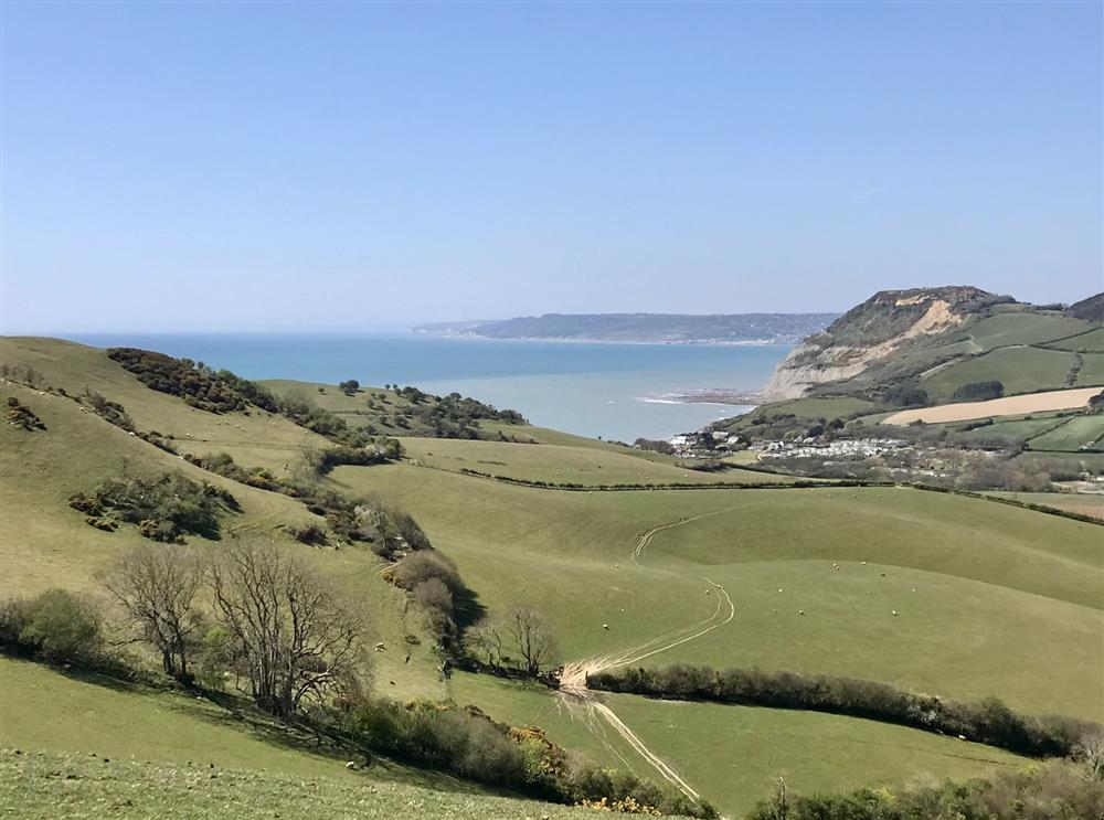 Enjoy a drive along the coast to Golden Cap