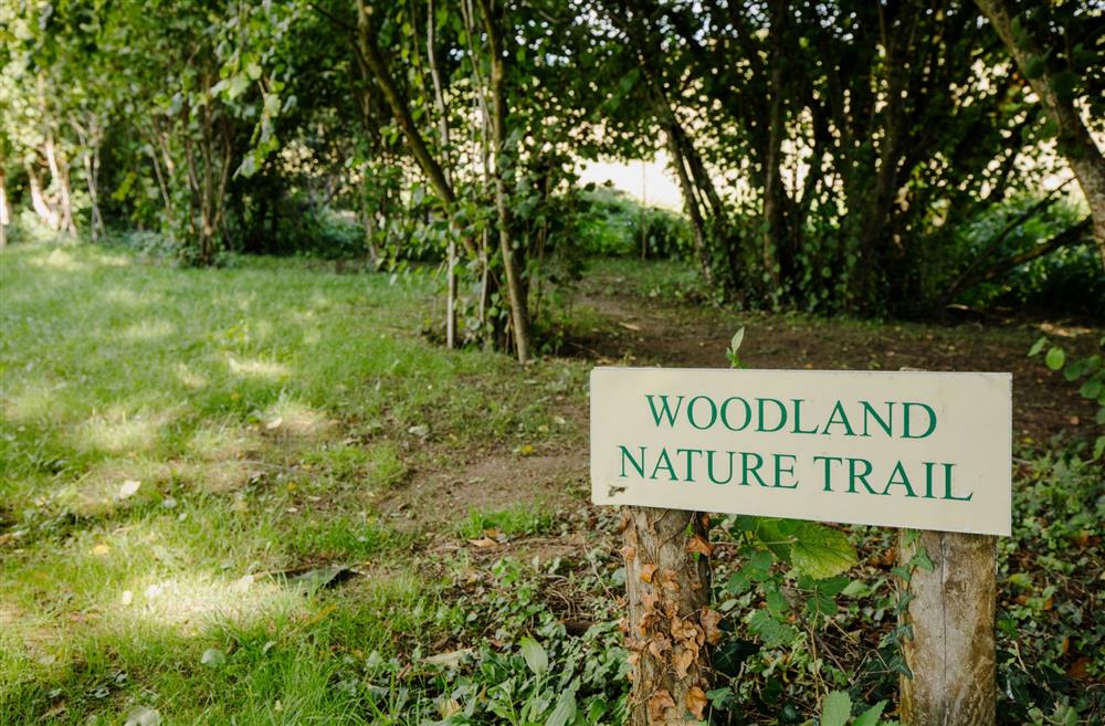 Stroll along the woodland nature trail