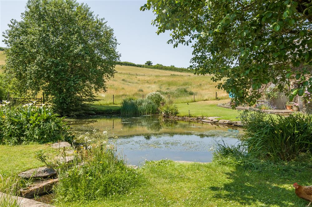 The nearby ponds attract plenty of wildlife at Hayloft Cottage, Totnes