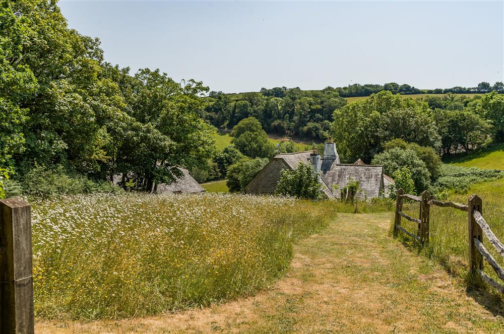 The view from the wildflower meadow of the farmhouse with Hayloft Cottage behind at Hayloft Cottage, Totnes