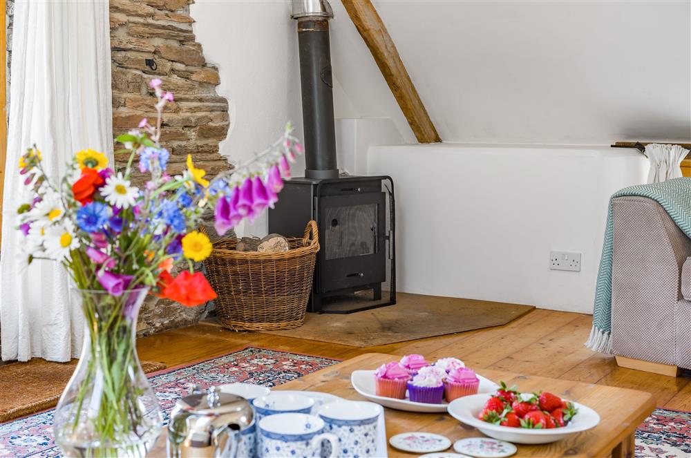 The wood burning stove is ideal for cosy nights in at Hayloft Cottage, Totnes