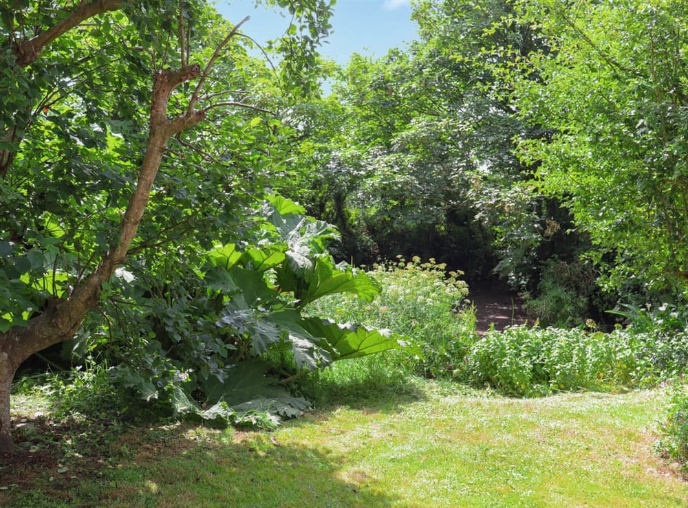 Garden at Hayloft in Fishguard, Dyfed