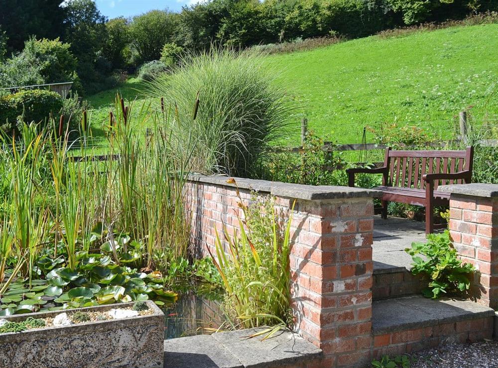 Paved aptio area and well-stocked pond at Hayloft in Ilfracombe, Devon