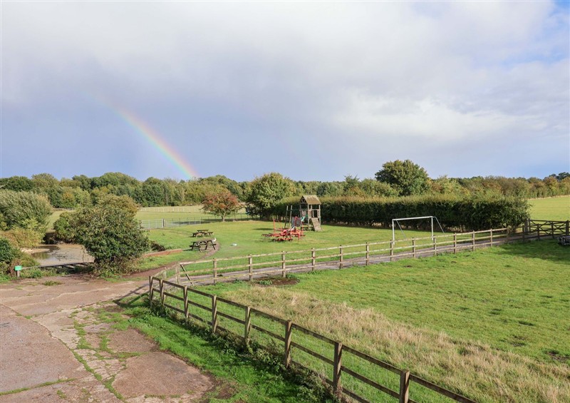 The garden at Hayloft, Ipswich