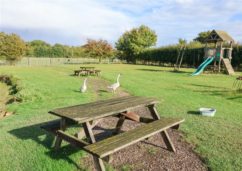 This is the garden at Hayloft, Ipswich