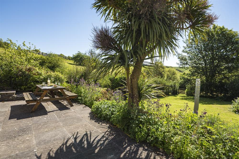 Terrace and garden at Hazel Cottage in Malborough, Nr Salcombe